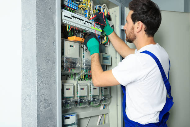Best Electrician for Home Renovation  in Monticello, MN