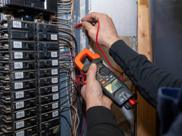 Best Ceiling Fan Installation Electrician  in Monticello, MN